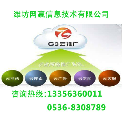 棗莊G3云推廣 按需定制技術方案，成效顯著